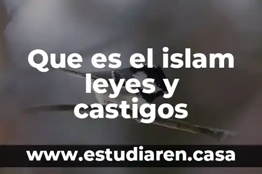 Que es ejecutar las leyes que expida el congreso 3 Que es el islam leyes y castigos