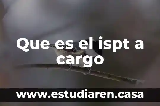 Que es el ispt a cargo