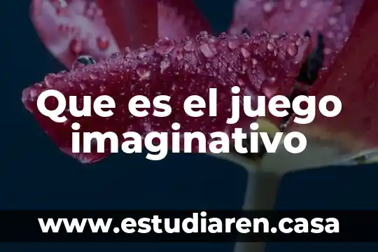 Qué es el inba y cual es su función 3 Que es el juego imaginativo