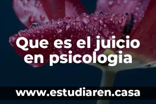 Que es el juicio en psicologia