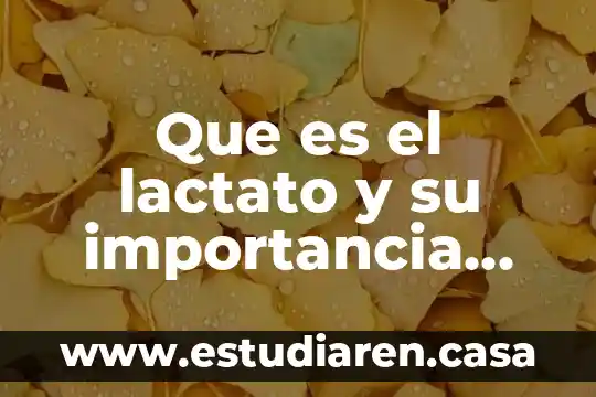 Qué es el colesterol HDL y cuál es su importancia 5 Que es el lactato y su importancia clinica