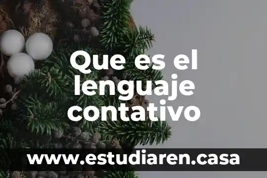 Que es el lenguaje contativo