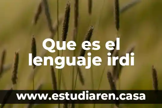 Que es el lenguaje irdi