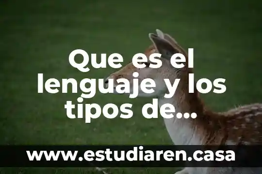 Que es el lenguaje y los tipos de lenguaje