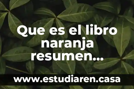 Que es el libro naranja resumen seguridad