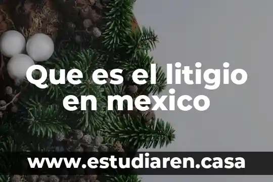 Que es el litigio en mexico