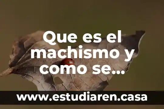 Desarrolla educativa que es 6 Que es el machismo y como se desarrolla