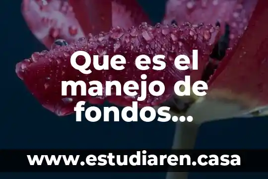 Que es el manejo de fondos publicos