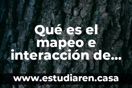 Qué es una identidad algebraica y sus procesos de solución 4 Qué es el mapeo e interacción de procesos