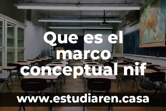 Que es la teoria conceptual en el arte 5 Que es el marco conceptual nif
