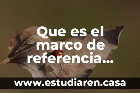 Que es el marco de referencia europeo