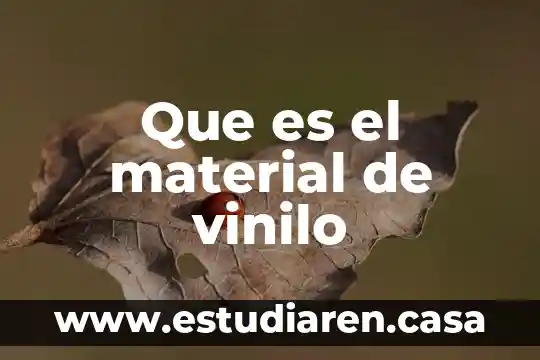 Qué es in material aislante 5 Que es el material de vinilo