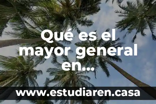 Por que es importante en el adulto mayor 5 Qué es el mayor general en contabilidad