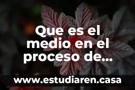 Que es el medio en el proceso de comunicacion