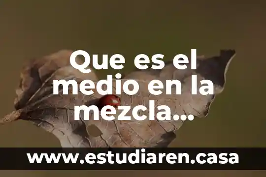 Que es el medio en la mezcla mercadotecnia