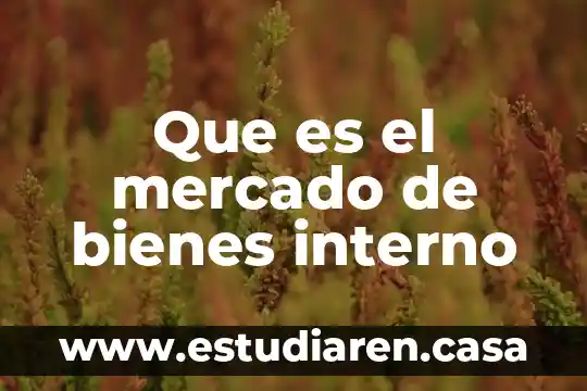 Que es un plan de adquisiciones de bienes y servicios 3 Que es el mercado de bienes interno