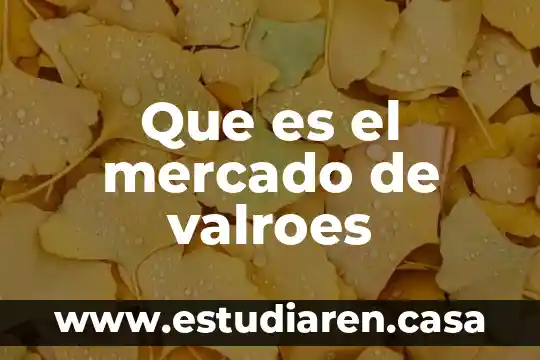 Qué es más rápido Mercado Libre o Amazon 6 Que es el mercado de valroes