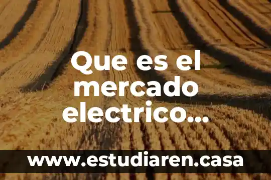 Que es el mercado electrico mayorista y como funciona