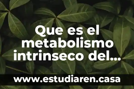 Que es el metabolismo intrinseco del agua y electrolitos