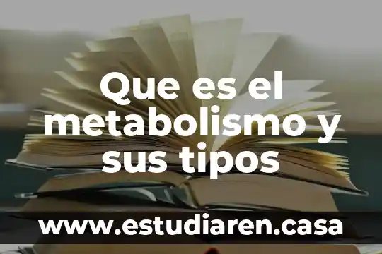 Que es el metabolismo y sus tipos