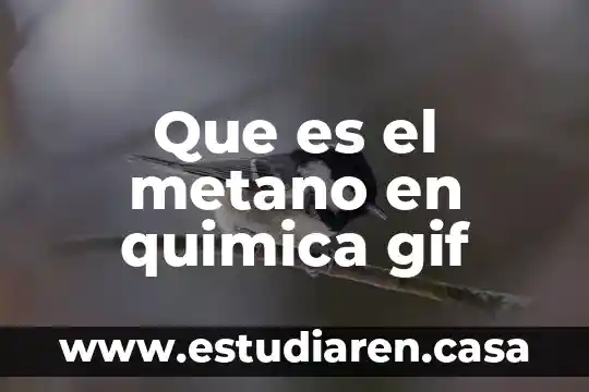 Que es un isotopo en quimica protio 5 Que es el metano en quimica gif