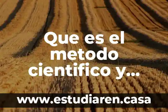 Que es un mapa y los elementos que los conforman 8 Que es el metodo cientifico y partes que lo conforman