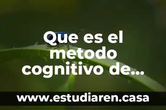 Que es la resolucion de problemas de la vida cotidiana 5 Que es el metodo cognitivo de resolucion de problemas