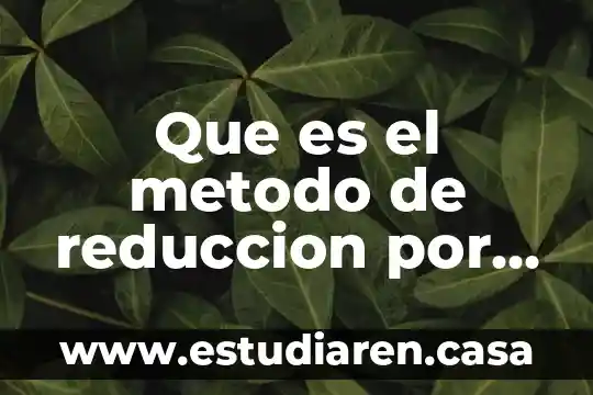 Que es un metodo en un proyecto 8 Que es el metodo de reduccion por multiplicacion