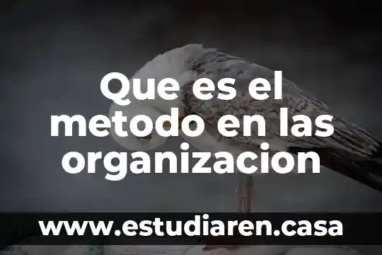 Que es roma y su organización política 5 Que es el metodo en las organizacion