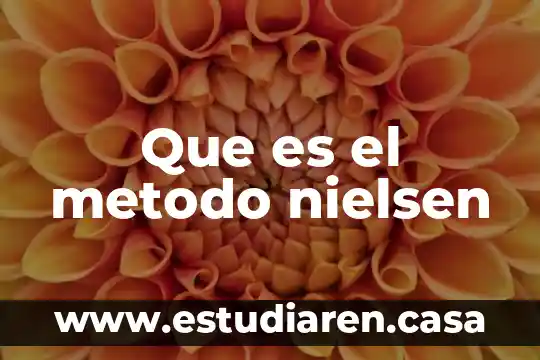 Que es el metodo nielsen
