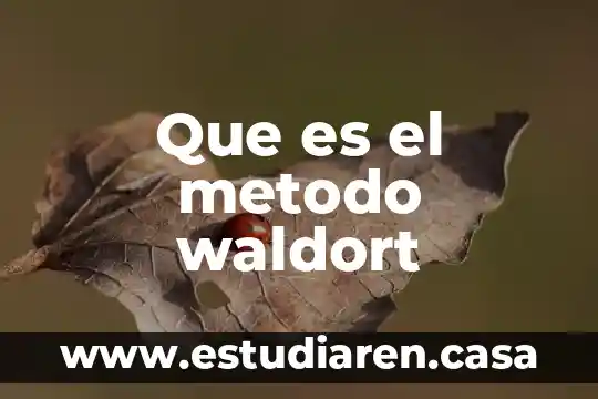 Vomi método qué es 3 Que es el metodo waldort