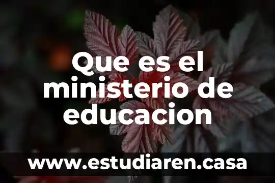 Que es el ministerio de educacion