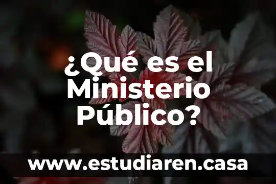 Qué es un servicio público México 8 ¿Qué es el Ministerio Público?