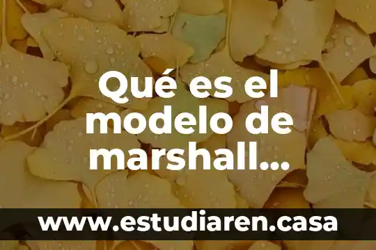 Qué es el modelo de marshall mcluhan