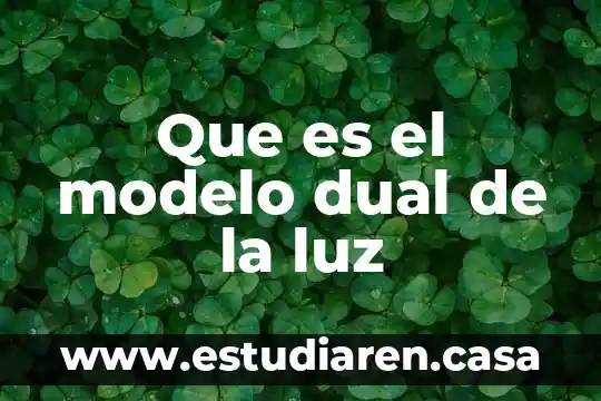Que es una persona dual 5 Que es el modelo dual de la luz