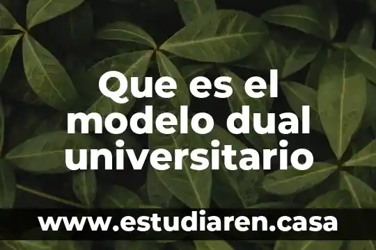 Que es una persona dual 8 Que es el modelo dual universitario