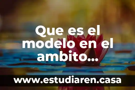 Que es el modelo en el ambito educativo
