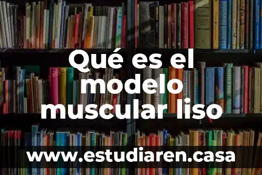 Reticulo endoplasmatico liso que es y su funcion 3 Qué es el modelo muscular liso