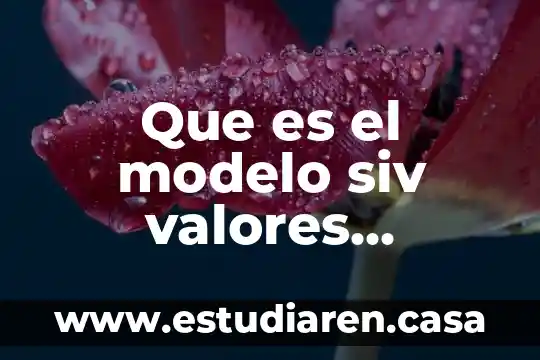 Que es el modelo siv valores interpersonales