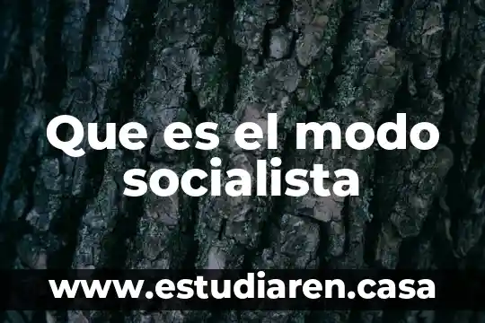 Que es el modo socialista