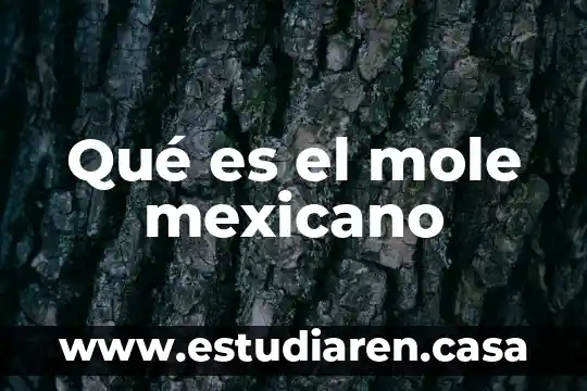 Que es el arbol cirio mexicano 7 Qué es el mole mexicano