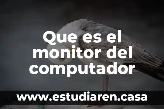 Monitor plano qué es 3 Que es el monitor del computador