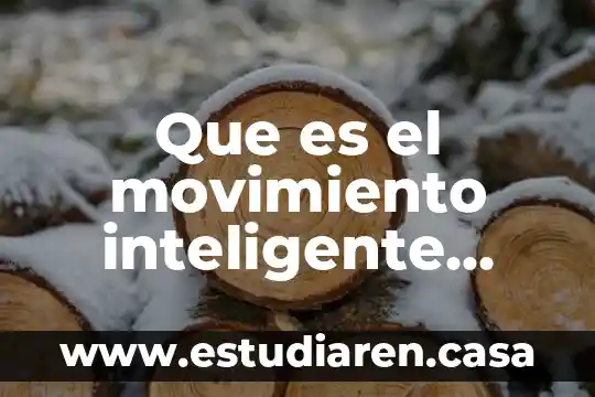 Que es la contexto educativo en la pedagogia 3 Que es el movimiento inteligente educativo