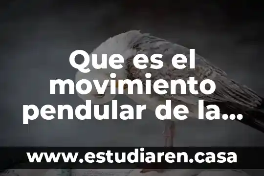Qué es la dirección de los servicios de salud 7 Que es el movimiento pendular de la lampara