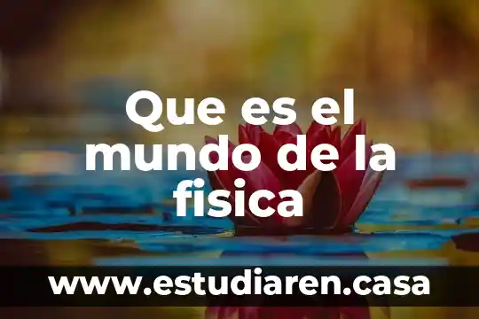Que es el mundo de la fisica