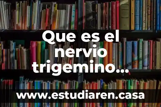 Que es un blooper yahoo 5 Que es el nervio trigemino yahoo