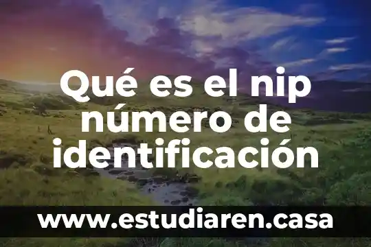 Qué es el nip número de identificación