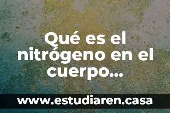 Que es equilibrio humano 5 Qué es el nitrógeno en el cuerpo humano