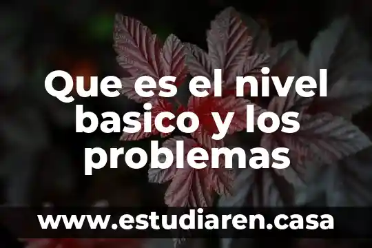 Que es un nivel erramienta 4 Que es el nivel basico y los problemas