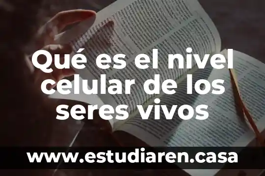 Que es extincion de los seres vivos 4 Qu茅 es el nivel celular de los seres vivos
